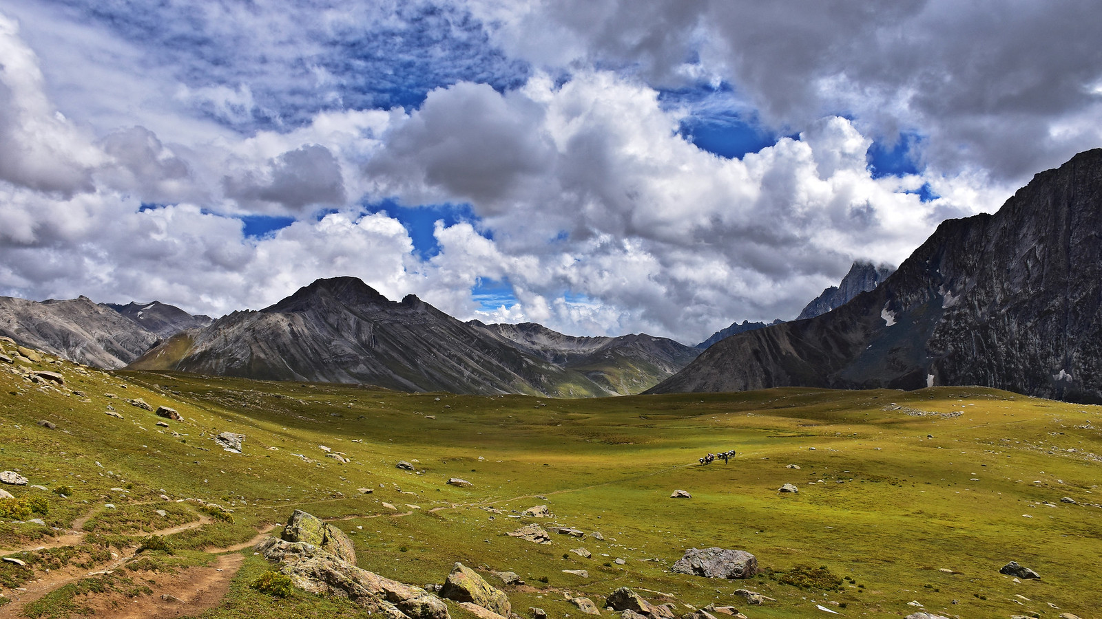 Gadsar Meadows on Kashmir Great Lakes Trek