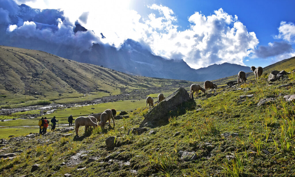 Kashmir Great Lakes Trek Reviews