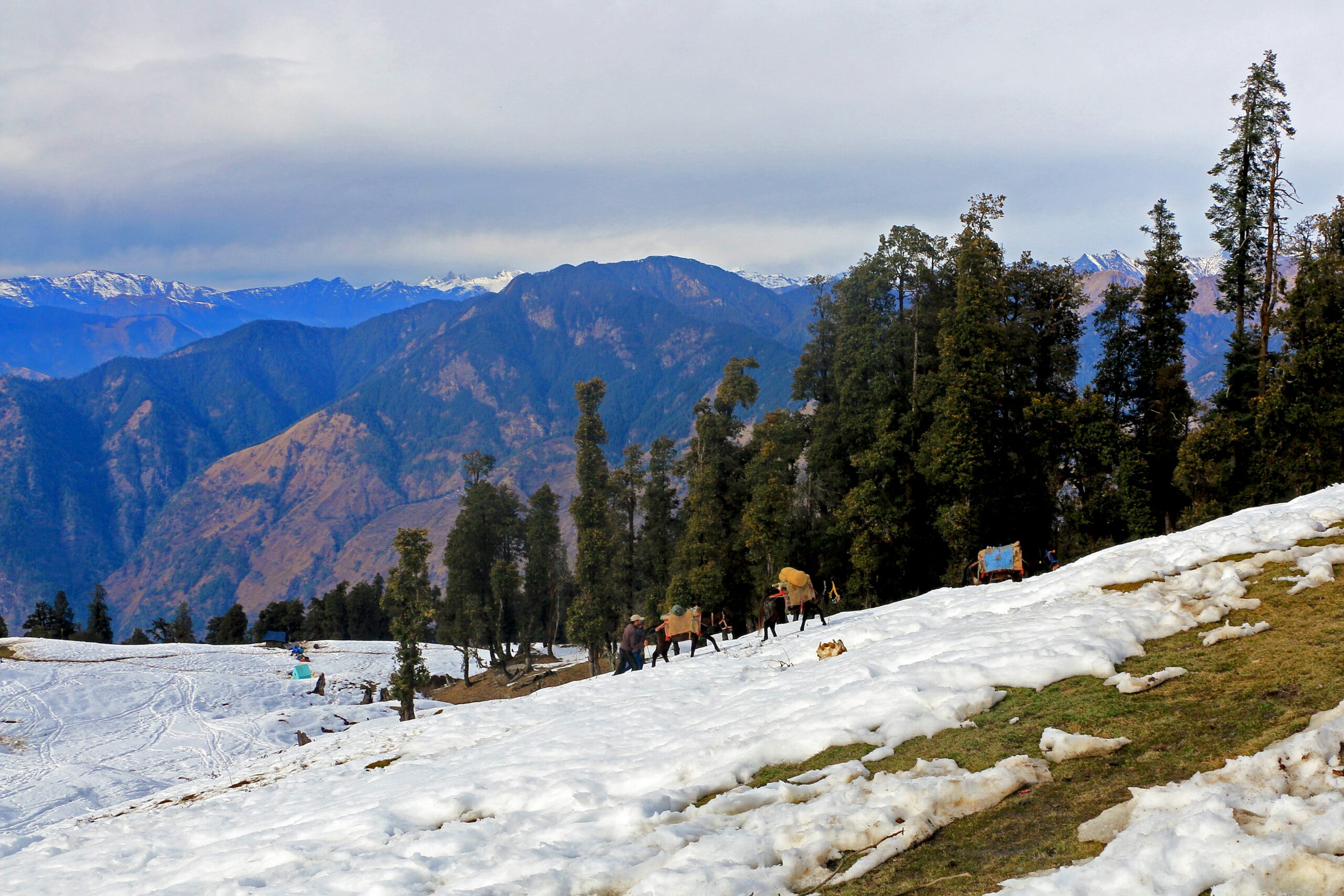 Trekkers and mules walking across snow-covered slope with Himalayan mountain views during Kedarkantha Trek in Uttarakhand